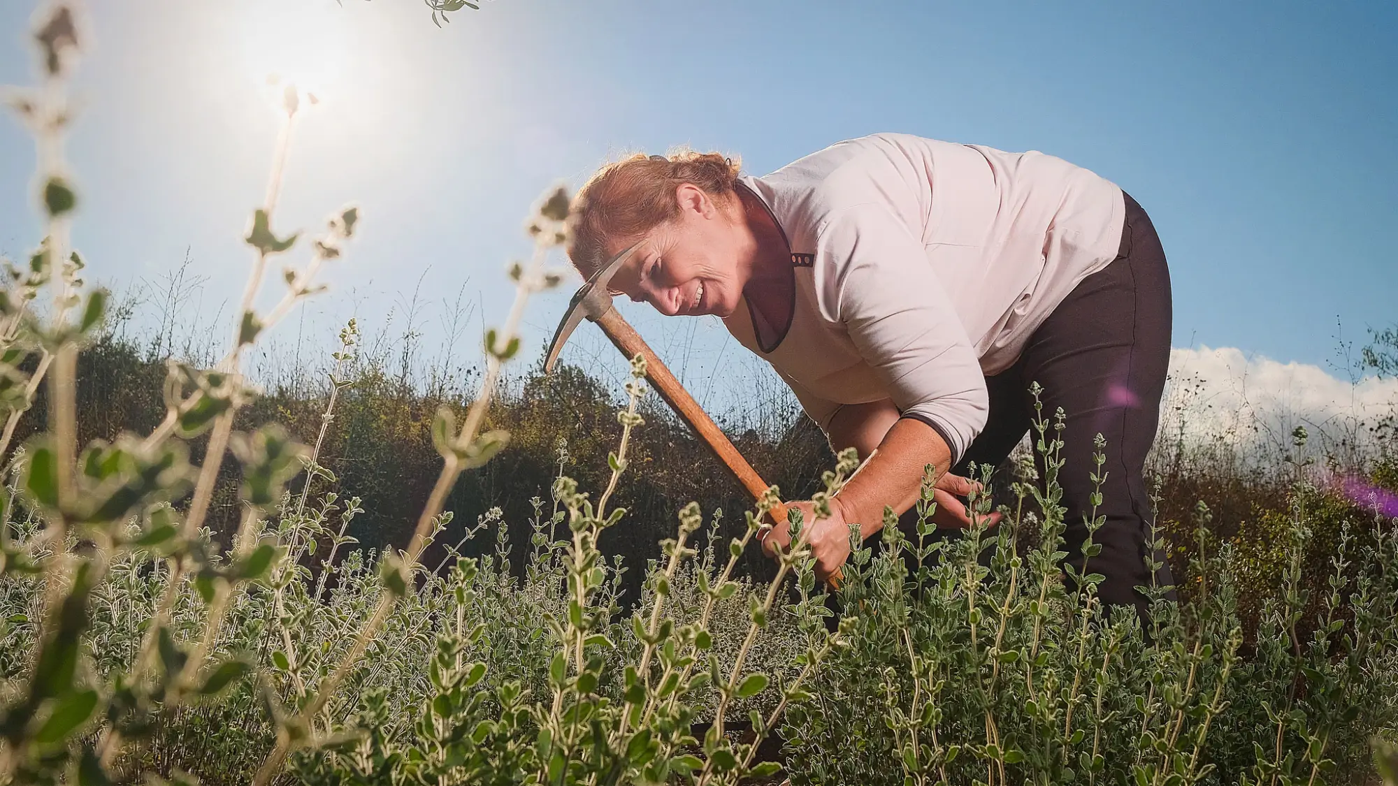 Thyme for Digital Change